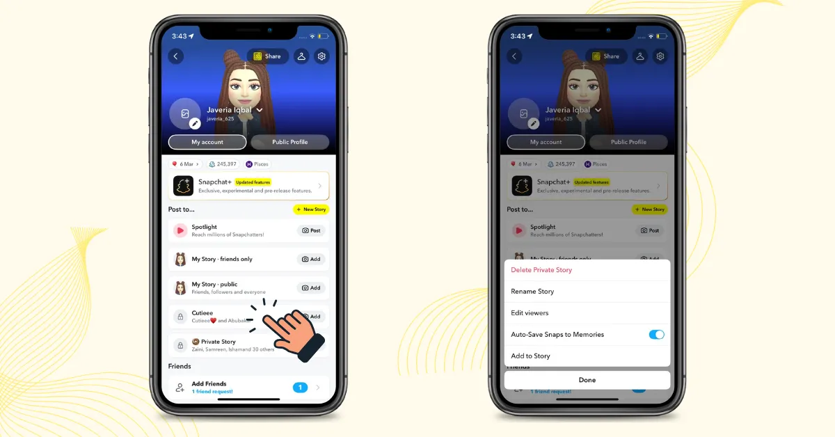 Snapchat profile shows Private Stories with lock icons, and options to edit the story name, viewers, and settings.